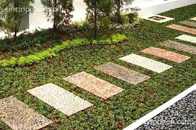 Rumput gajah mini merupakan jenis rumput yang banyak digunakan untuk taman berbeda dengan rumput gajah lokal, rumput gajah mini memiliki ukuran lebih kecil dengan tekstur yang pemberian pupuk sangat diperlukan saat musim kemarau. Begini Manfaat Pupuk Npk Untuk Rumput Gajah Mini Ciriciripohon Com