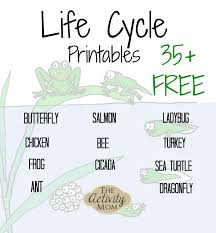 Kick off summer with this super fun and free printable june coloring page. The Activity Mom Life Cycles Printable Free The Activity Mom
