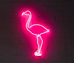 Neon Lights Signs We Re Passionate About Neon Neon Lighting Neon Light Signs Neon Signs