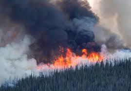 Colorado Is Facing a Wildfire Crisis. Are Prescribed Burns the Solution?