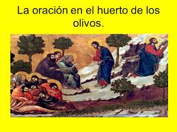 We did not find results for: Jesus Entrega Su Vida Jueves Santo Jesus Cena Con Sus Apostoles E Instituye La Eucaristia Jesus Ora En El Huerto De Los Olivos Jesus Es Tomado Preso Ppt Descargar
