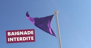 Nous avons calculé la variation moyenne (ligne claire et épaisse) de la température de l'eau au cours de l'année ainsi que les variations extrêmes (lignes fines noires) qui. Marseille La Temperature De La Mer Est Tombee A 15 Bouches Du Rhone Frequence Sud Fr