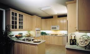 Rvp110 In 263 Almond With Discontinued Matching Wood Hardware By Frendel Kitchens Limited Www Frendel Com Or 1 866 Frende Kitchen Kitchen Cabinets Home Decor