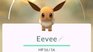 Nov 16, 2018 · the go park complex in fuchsia city is where your pokémon arrive after you've synced your pokémon go game with pokémon: Pokemon Go Eevee Evolution How To Evolve Eevee Into Espeon Or Umbreon In Pokemon Go Gamerevolution