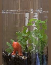 How To Build A Terrarium Activity Education Com Science Activities For Kids Ecosystems Projects Build A Terrarium