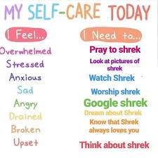 Pin By Jennifer On Shrek Shrek Memes Shrek Always Love You