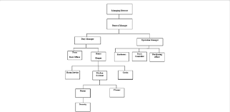 Hotel Organizational Chart Jasonkellyphoto Co