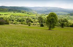 Nature sounds, with the soothing sound of a waterfall, forest sounds or birdsong are relaxing to our minds and help us to sleep, study, relaxation or for med. Deutschlands Natur Der Naturfuhrer Fur Deutschland