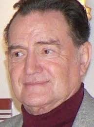 Hobbyfilmer wollen den Sachsen-Anhalt-Tag dokumentieren