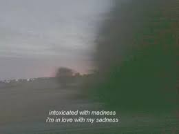 Intoxicated With Madness I M In Love With My Sadness Intoxicated With Madness I M In Love With My Sadness Im In Love Mood Quotes