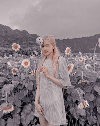 aesthetic blackpink rose