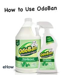 Bio Clean Eco Friendly Hard Water Stain Remover Ingredients How To Use Odoban Hunker Multipurpose Cleaner Air Freshener Odor Eliminator