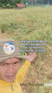 situasi darurat militer di Israel berubah menjadi tragedi, mengejutkan  setelah Panglima Angkatan Pertahanan Israel, IDF, Letnan Jenderal Eli Barak,  tewas dalam sebuah serangan rudal Iran yang menghantam markas komando saat  sedang berlangsung