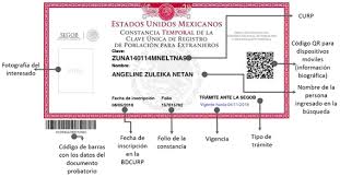 La curp es un codigo unico de identificacion que tiene 18 caracteres para residentes y ciudadanos mexicanos. Clave Unica De Registro De Poblacion Curp Temporal Para Extranjeros En Mexico Pata De Perro