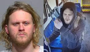 C:\Users\ivance\AppData\Local\Temp\PROTECTLocalFiles\2024ML009132\Criminal  Complaint