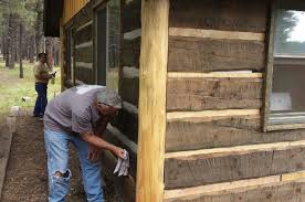 Vinyl log cabin siding instantly adds character to any exterior design. Pioneer Log Siding A Nationwide Phenomenon Indiegogo