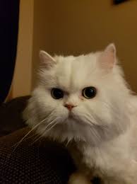 STAY WARM AMIGOS, how y'all doing?!?