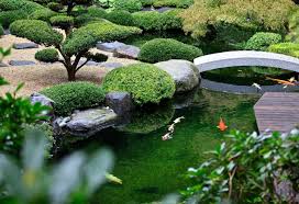 Koiteiche Wasser Garten Kirchner Japanischer Garten Koiteich Schildkrotenteich