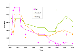 Image result for Pavetta pierlotii