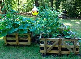 Raised bed gardening is really the way to go, particularly if your native soil is terrible with clay, rock, or sand. Pin On Lawn And Garden