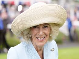 queen camilla wasp problem: Queen Camilla reveals the terrible struggle she  and King Charles are quietly battling