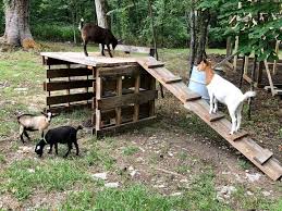 Diy Goat Playhouse Shelter The Little Frugal House Goat Shelter Goat House Goat Playground