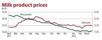 Growing Milk Supplies To Keep Pressure On Dairy Prices