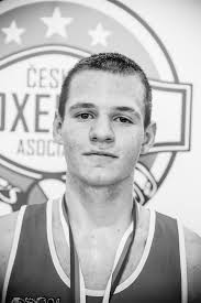 Moravskoslezská oblast boxu