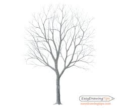 How to Draw a Tree Step by Step Tutorial - EasyDrawingTips