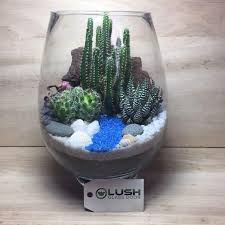 Spring Scenic Succulents Terrarium Succulent Terrarium Diy Succulent Terrarium Succulent Arrangements Glass