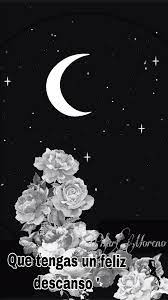Pilarmoreno Video Video Mejores Frases De Buenas Noches Buenas Noches Frases Bonitas Feliz Noche Frases