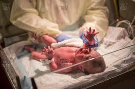 Nurse Bathing A Newborn Baby In Hospital Stock Photo Offset