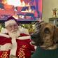Santa Pet Photos for Unchained Melodies Dog Rescue event image