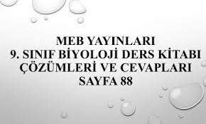 Bu, oyunu tamamlamanıza yardımcı olabilecek codycross süs koyma amaçlı camlı dolap cevaplı sayfadır. Mart 2020 Sayfa 15 Soru Cozumleri