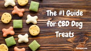 The 1 Guide For Cbd Dog Treats Certapet