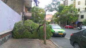 نتیجه تصویری برای طوفان تهران را درنوردید