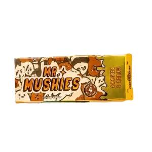 Mushroom Chocolate Bars - Mr Mushies Chocolate Official Shop