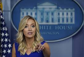 White house press secretary, kayleigh mcenany's parents received at least $1 million in ppp loans from the government for their construction company. Despite What Kayleigh Mcenany Said Paw Patrol Hasn T Been Cancelled