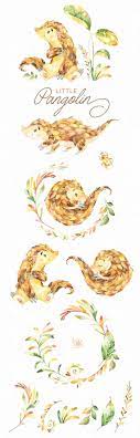 little pangolin watercolor animals clipart africa asia art animal coloriage de signe carnaval