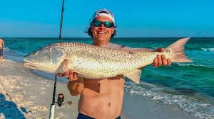 Fishing destin's east and west pass jetties is a unique experience. How To Surf Fish For Sharks And Redfish In Destin Florida Youtube