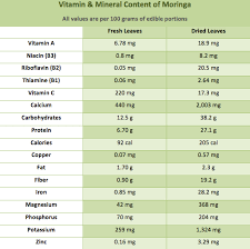 Moringa Benefits The Holistic Superfood Chihealth Online