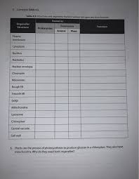 See full list on microbenotes.com 5 Complete Table 4 5 Table 4 5 Structures And Chegg Com