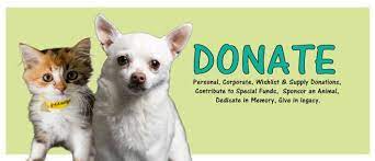 Maybe you would like to learn more about one of these? Cache Humane Society Logan Utah Animal Shelter Adoption Center