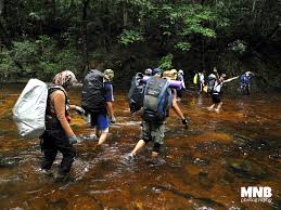 Gunung tahan merupakan titik tertinggi di semenanjung malaysia terletak di taman negara, pendaki boleh menggunakan kuala tahan atau. Gunung Tahan Backpackertravel