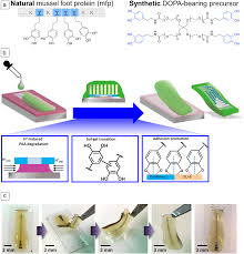 Find desmond ho's contact information, age, background check, white pages, criminal records, photos, relatives known as: Recent Advances In Neural Interfaces Materials Chemistry To Clinical Translation Mrs Bulletin Cambridge Core