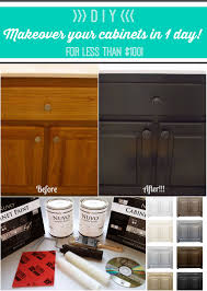 Nuvo Cabinet Paint In Blackdeco One Day Cabinet Makeover