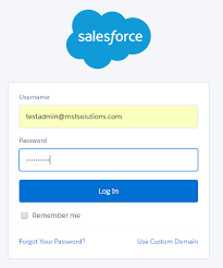 Salesforce Workbench Mst Solutions