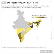 india pineapple production 2016 17 india areca nut nativity