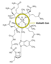 Hypercobalaminamie Mogliche Vitamin B12 Nebenwirkungen