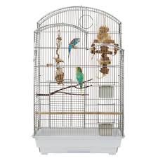 Feb 22, 2020 · check out the pet birds online, then visit your local petsmart store to pick out and take home your new feathered friend. All Living Things Cityscape Bird Cage Size 20 5 L X 16 1 W X 33 5 H Plastic Small Bird Cage Bird Cage Parakeet Colors